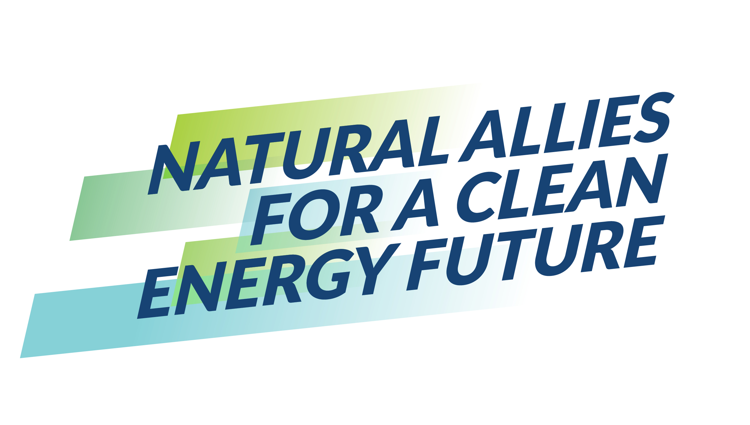 Natural Allies for a clean energy future logo