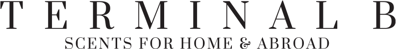 TERMINAL B Logo